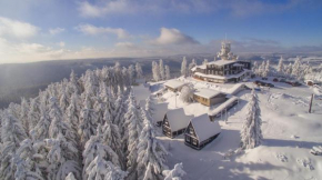 Гостиница Hotel Plesivec, Абертамы